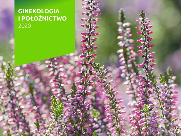 Ginekologia i położnictwo