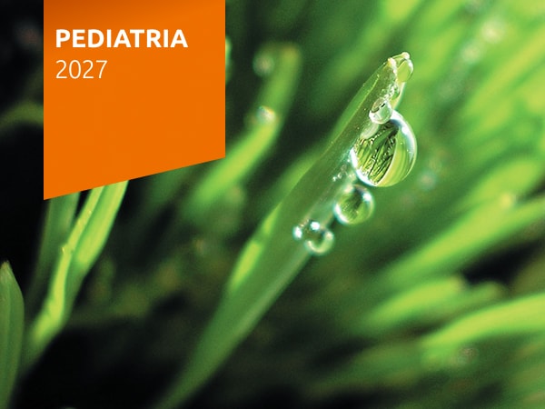 Wiosenne Spotkania Pediatryczne 2027
